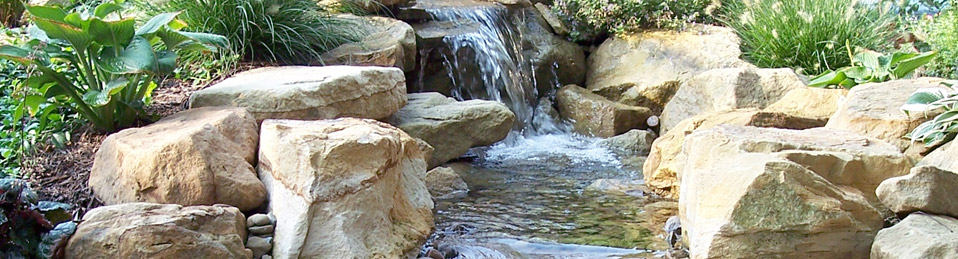 Homepage Image